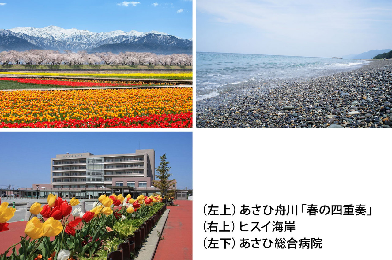 ふるさと納税お礼の品に登録されました(朝日町)
